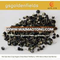 black goji berry on hot sale